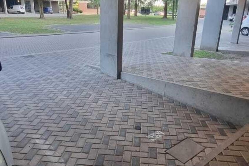 Imagen de Condominios Palos Verdes